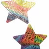 GE Apparel Metallic Rainbow Star Nipple Pasties