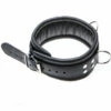 Allure Triple X Leather Collar