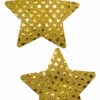 GE Apparel Gold Star Sequin Nipple Pasties