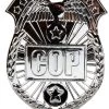 AMSCAN Accessories Costume Police Badge