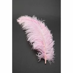 Entrenue Accessories Deluxe Plumes Large 18-28