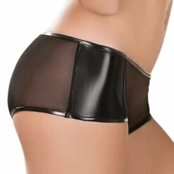 Magic Silk Raven Black Mesh Booty Shorts