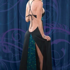 Coquette Peacock Lingerie Gown