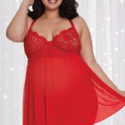 Dreamgirl Plus Size Mesh Garter Babydoll Plus Size Lingerie