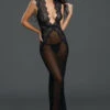 Dreamgirl Lingerie Mesh And Lace Gown