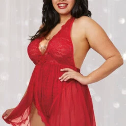Dreamgirl Plus Size Halter Plunge Lace Skirted Teddy