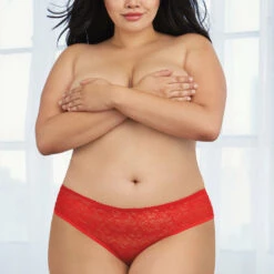 Dreamgirl Plus Size Lace Ruffle Back Panty Plus Size Lingerie 14 Dreamgirl Plus Size Lace Ruffle Back Panty Plus Size Lingerie