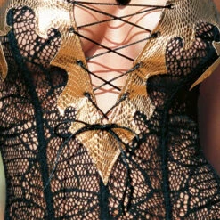 Dreamgirl Net Allure Corset