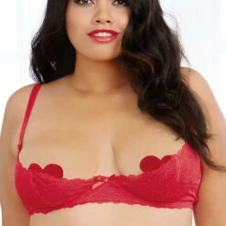 Dreamgirl Plus Size Lace Shelf Bra