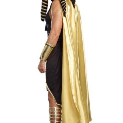 Dreamgirl King Of Egypt Costume