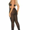 Elegant Moments Plus Size Black Mesh Pants