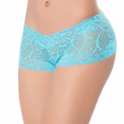 Mapale All Lace Boyshorts Lingerie