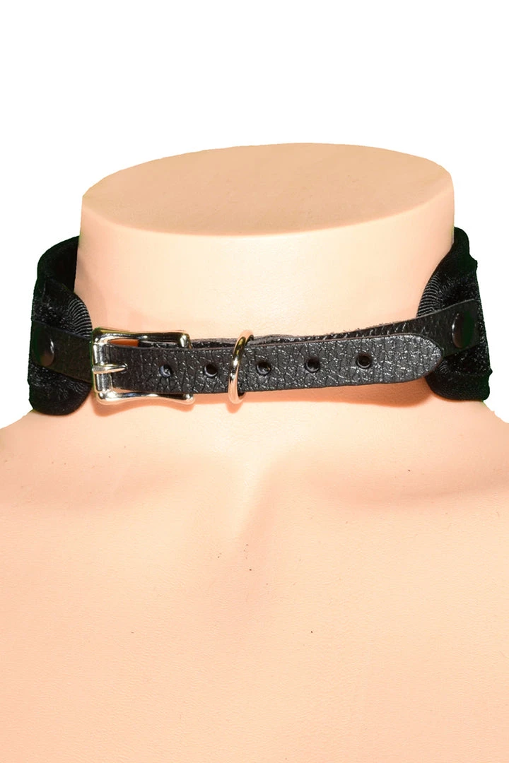 Funk Plus D Ring Velvet BDSM Training Collar 2 Funk Plus D Ring Velvet BDSM Training Collar