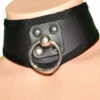 Funk Plus Lingerie D Ring Leather BDSM Training Collar