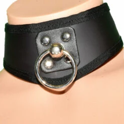 Funk Plus Lingerie D Ring Leather BDSM Training Collar