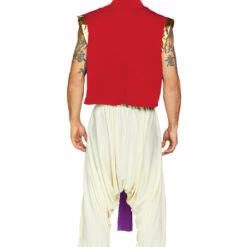 Leg Avenue Sexy Halloween Costumes Desert Prince Costume 7 Leg Avenue Sexy Halloween Costumes Desert Prince Costume