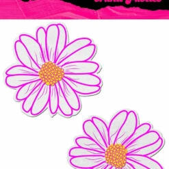 PASTEASE Brand Pasties Wildflower Pasties 8 PASTEASE Brand Pasties Wildflower Pasties