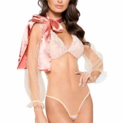Roma Costume Lingerie Sheer Pink Teddy With Satin Bow