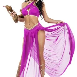 Starline Costume Sexy Halloween Costumes Snake Charmer Costume