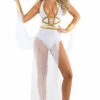 Starline Costume Seductive Goddess Of Love Costume Sexy Halloween Costumes