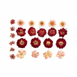 NevaNude Harvest Moondancer Real Dried Pressed Flower BodiStix Lingerie