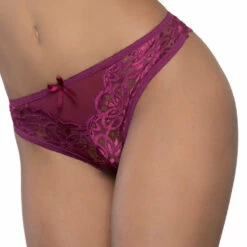 Seven Till Midnight Mesh And Lace Cheeky Panty Panties