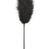 3WISHES Accessories Black Feather Tickler