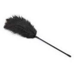 3WISHES Accessories Black Feather Tickler