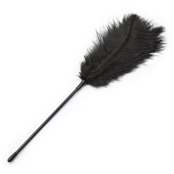 3WISHES Accessories Black Feather Tickler