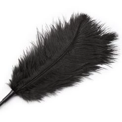 3WISHES Accessories Black Feather Tickler