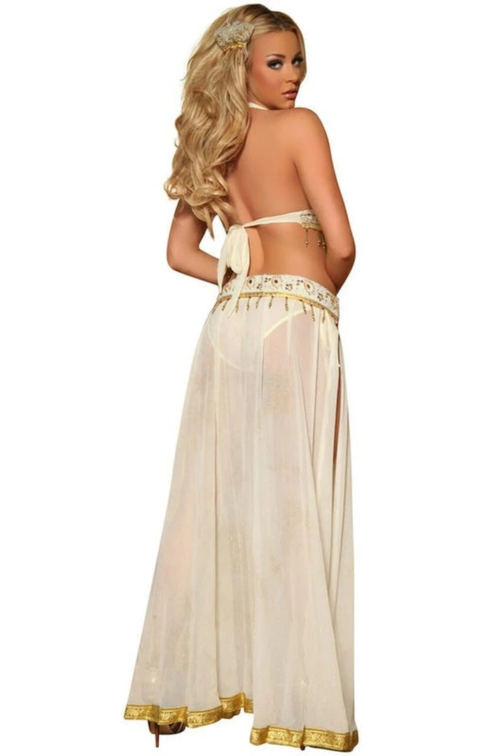 3WISHES Golden Wish Genie Costume 10 3WISHES Golden Wish Genie Costume