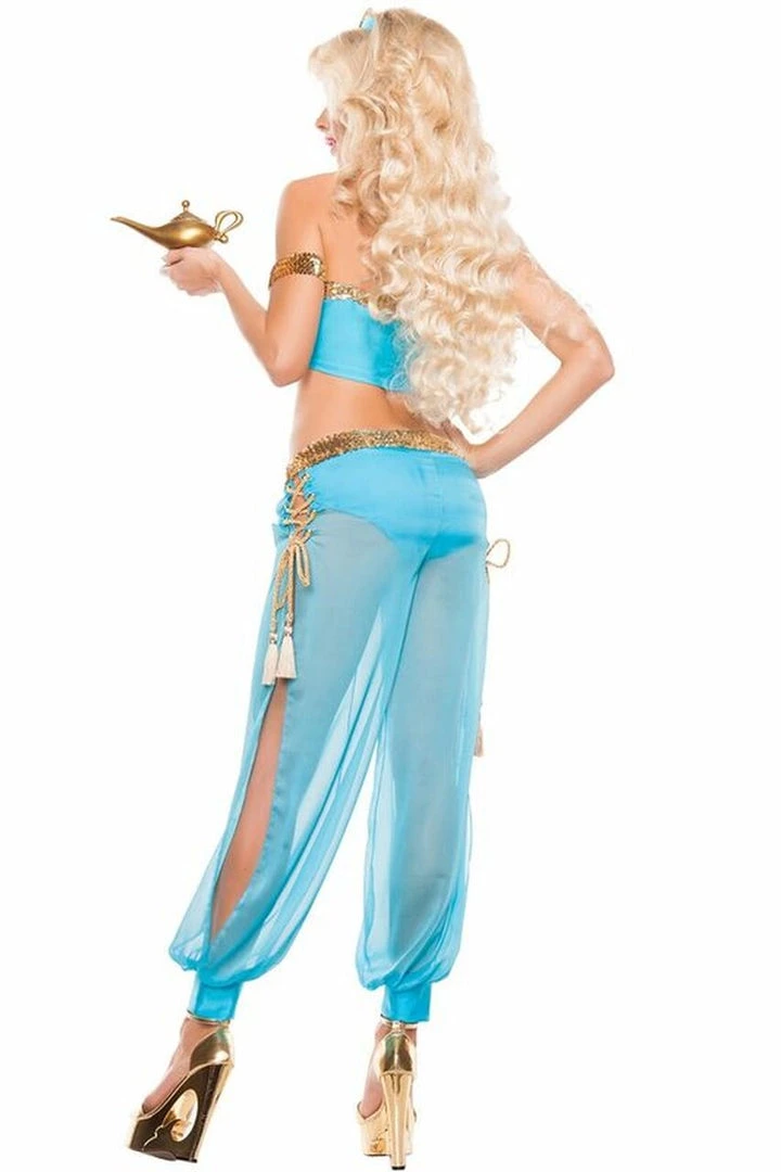 Starline Costume Sexy Arabian Nights Costume TV & Movie Costumes 4 Starline Costume Sexy Arabian Nights Costume TV & Movie Costumes