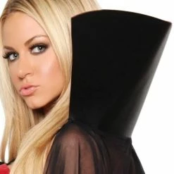 Leg Avenue Vampire Mistress Halloween Costume