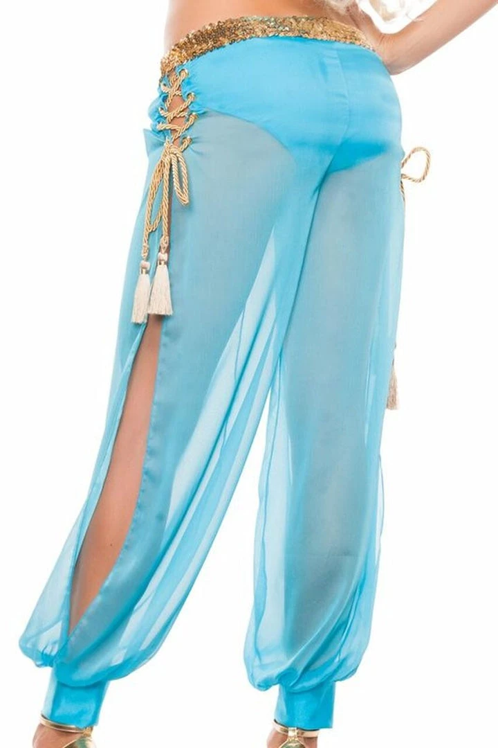 Starline Costume Sexy Arabian Nights Costume TV & Movie Costumes 3 Starline Costume Sexy Arabian Nights Costume TV & Movie Costumes