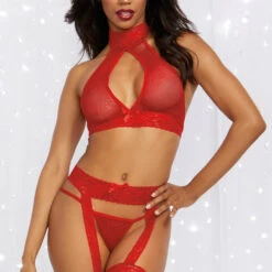 Dreamgirl Rogue Rouge Bra And Garter Set Lingerie