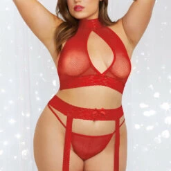 Dreamgirl Plus Size Rogue Rouge Bra And Garter Set