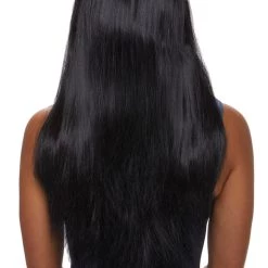 Dreamgirl Long Straight Black Wig