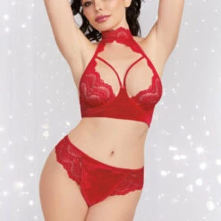 Dreamgirl Bra Sets Rouge Stretch Lace Bra Set