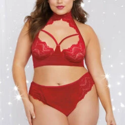 Dreamgirl Plus Size Rouge Stretch Lace Bra Set Plus Size Lingerie
