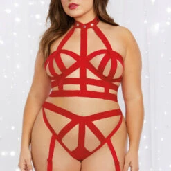 Dreamgirl Plus Size Diamond Diva Strappy Bra Set