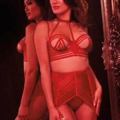 Dreamgirl Lingerie Sexy And Strappy Bra Set