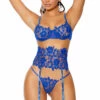 Elegant Moments Blue Embroidered Lace Bra And Garter Lingerie