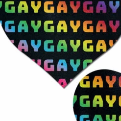 Pastease Rainbow Gay On Black Heart Pasties